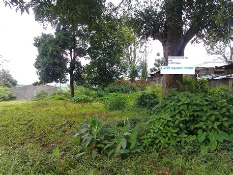 is purok a street or subdivision